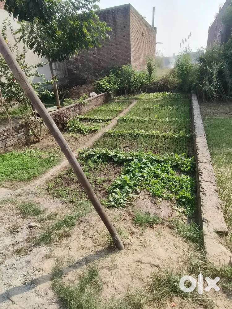 Jishko chahiye wo hi msg kare 75 gaj ka plot hai sunra khedi mai