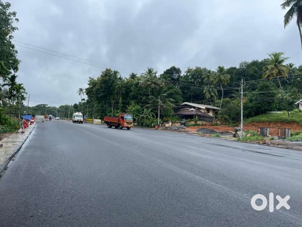 Kothamangalam Irumalappady 20 cent commercial plot for sale