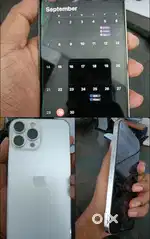 13 pro max 256 gb