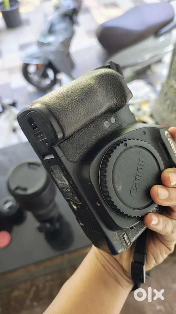 Canon 5d mark ii and 24-105 f4 lens Sigma 150-600