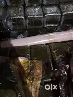 Turning points