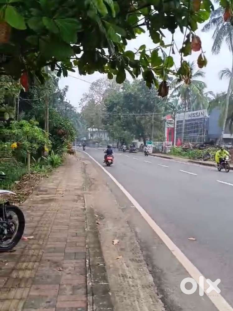 Kannur Road Frontage 12 Cent Commercial Plot