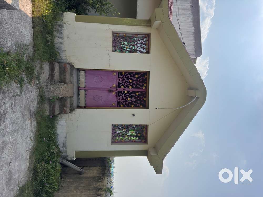 House for rent in best price