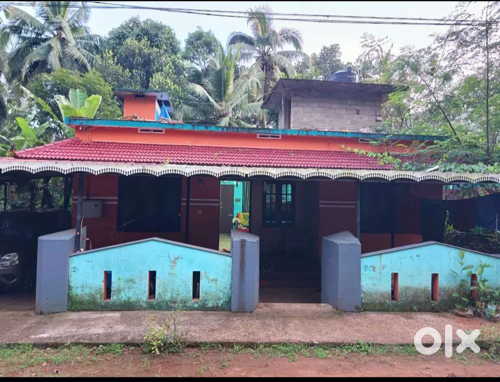 4.5 സെന്റ് സ്ഥലവും 950 sqft വീടും പുതുരുത്തി യിൽ