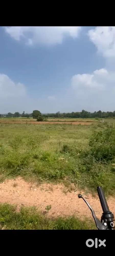 LAND FOR SARE 20 GUNTAS