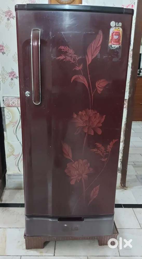 LG Fridge 165L