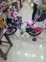 Mascot cycle