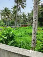6 cent plot for sale near kairali road, 300 mts from balussery town