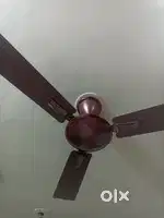 Ceiling fan..venus