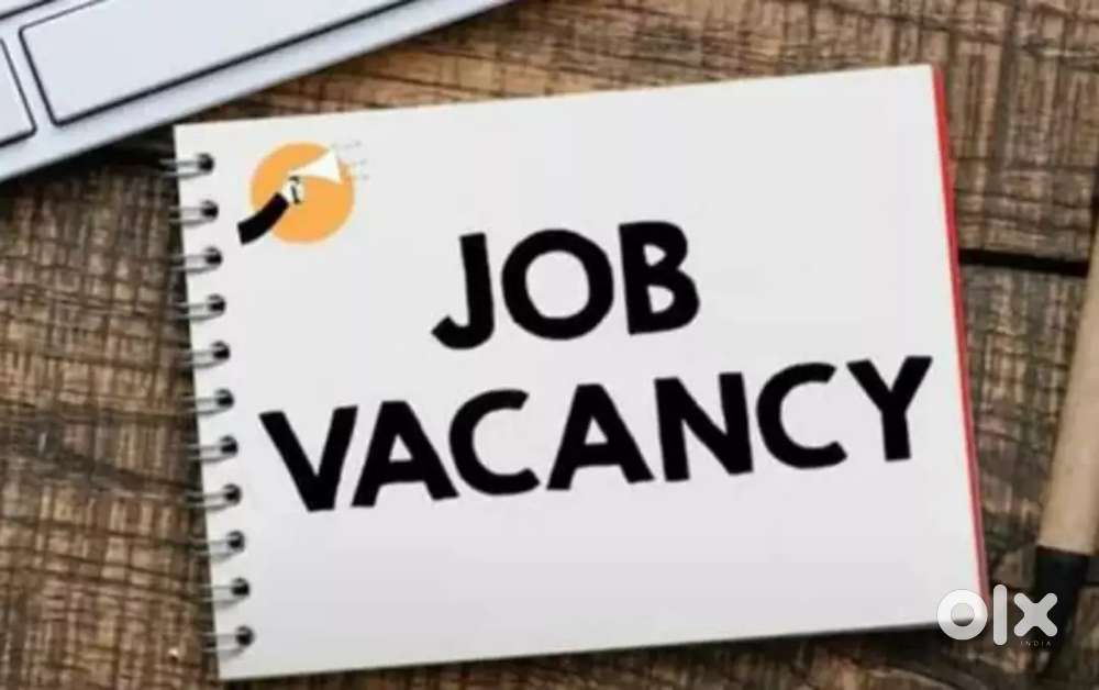 Urgent Requirement for office work