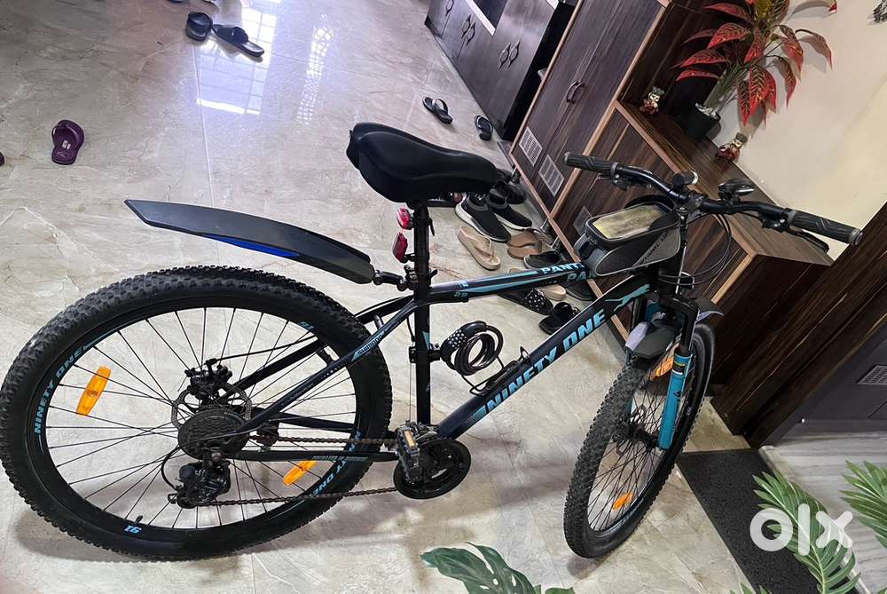 1.2 years old Panter (29T - MTB) loaded with accessories