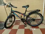 Afro Cycle with phone stand
