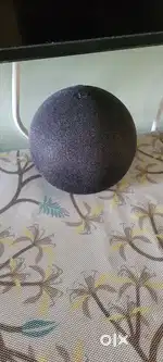 Alexa Echo Dot 5th Gen