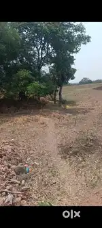 Agriculture land