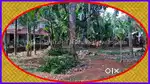 6 cent Residential Plot in near Chalappuram