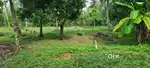 80 CENT SQUARE PLOT NEAR KAZHAKKOOTTAM