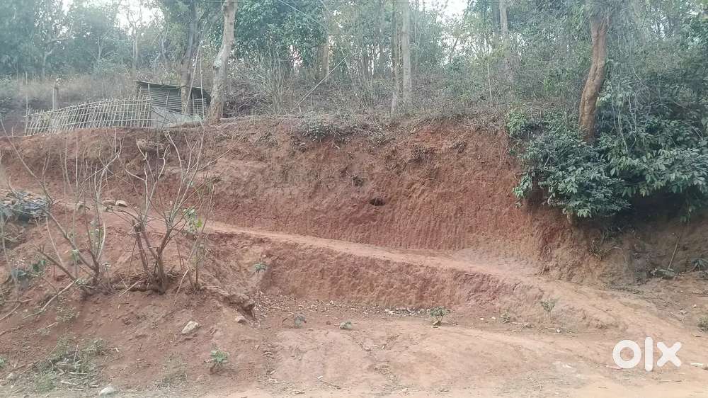 4 kotha Eksoniya land for Sale @Chandrapur Assam