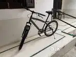 One year old bycycle