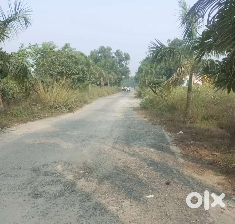 Gorakhpur (padri bazar se pipraich road plot