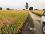 4 acre agricultural land near mullanpur
