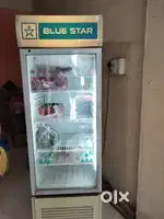 Blue star fridge