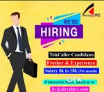 Office telly callers freshers or experience staff need