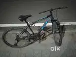 Gang bicycle