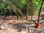 Rubber land for sale