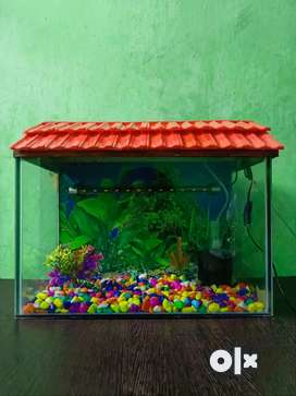 Aquarium Tank with cover