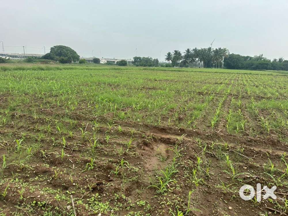 50 cent land in sulur