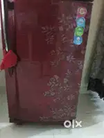 Godrej double door refrigerator with capacity of 240L
