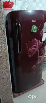 Lg branded Fridge