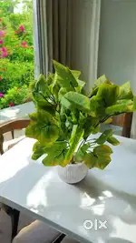 2 artificial plants with white pots. Approx 15inches height