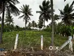 70 cents farm land for sale