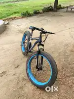 Aapgrow Fat Bike