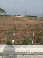 Pavai college opposite vijayalakshmi garden Dtcp aproval plot