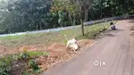 LAND SALE AT VYTTILA / NETTOOR / ERNAKULAM