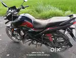 Hond Shine SP 125 CC BR33