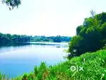 14.7 cent river water side land for sale in kanjoor,kalady,Airport