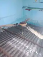 Ceiling fan