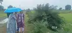 we wanted to sell this land