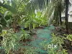 10 Cent Good Residencial Plot For Sale in Fly over Palarivattom EMC