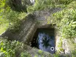 4 acres Farm land with coconut trees with well and eb service