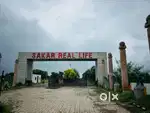 Sales and executive