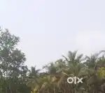21.5 cent.5lakh/cent.