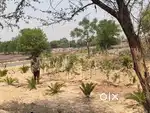 TDI KUNDLI K BLOCK