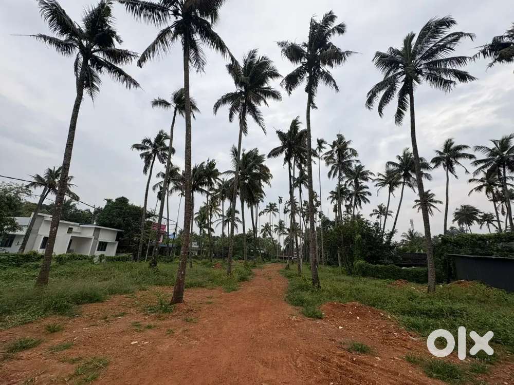 60 cent housing plots for sale in ollur, thrissur