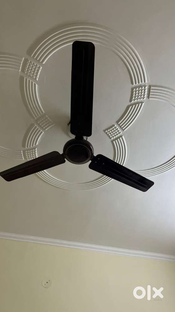 New Brand Gold Max 48 inch Ceiling Fan