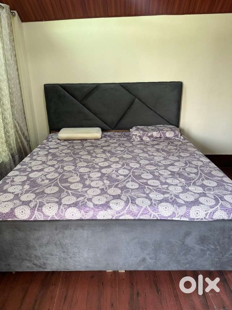 1 studio room (fully furnished)