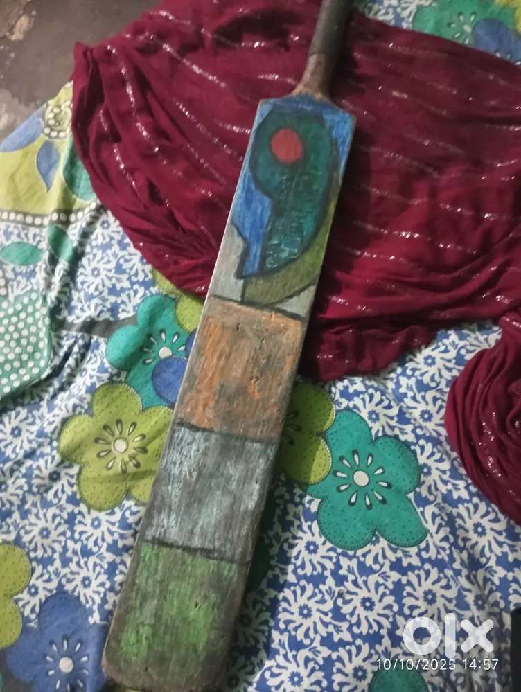 A kashmiri willow bat